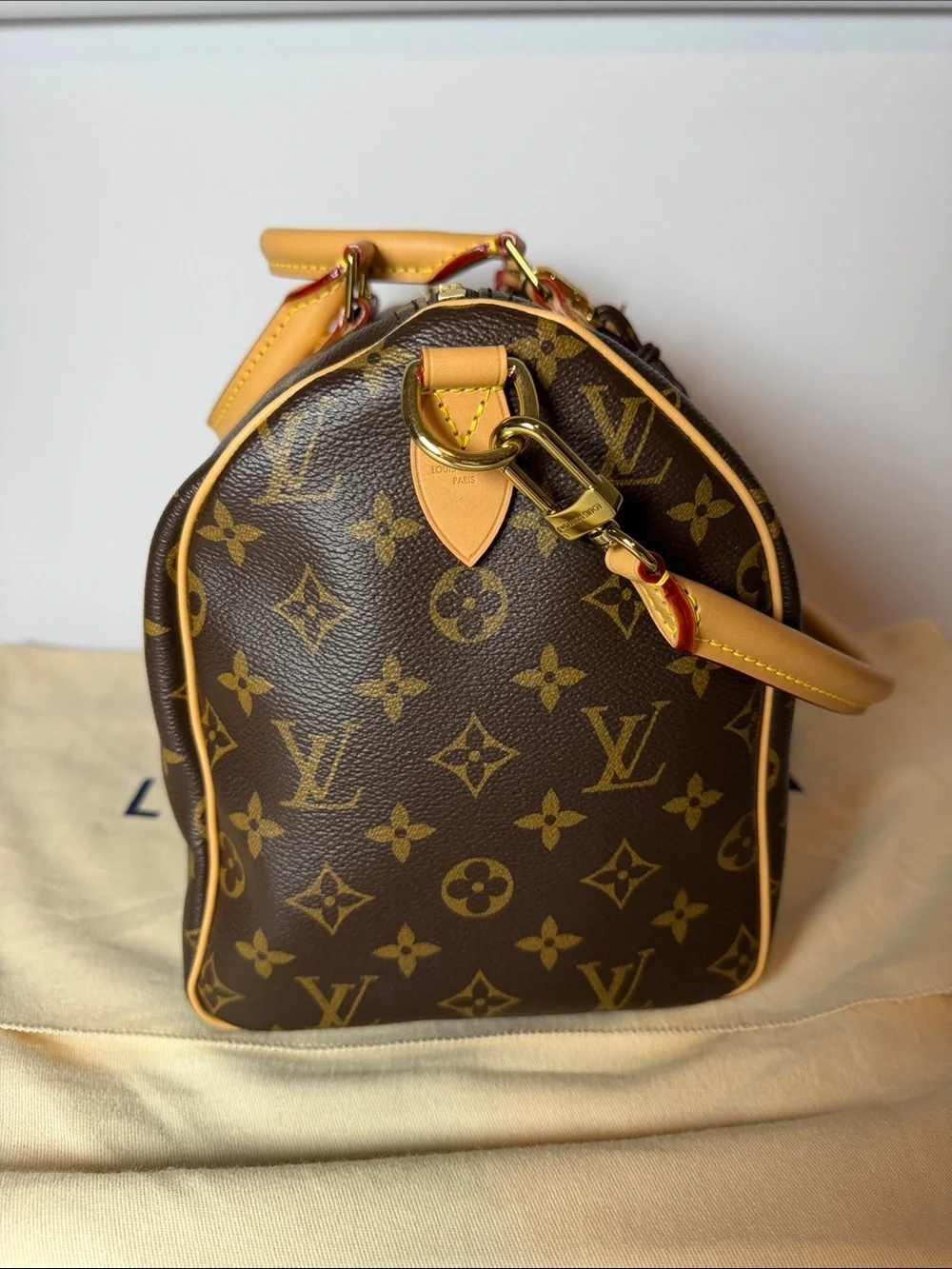 Louis Vuitton Speedy 30 Crafty